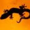thegekko