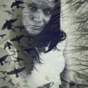 nicole dunn