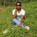 nihalroynr