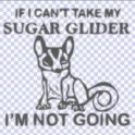 GliderGuy