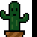 Cautious Cactus