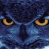 niteowl360