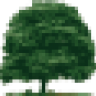 WoodlawnTom