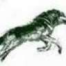 GreenWolf70
