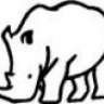 DZRhino