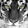 Tony.The.Tiger