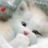 clarkeskitty