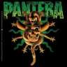 Pantera70