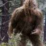 sasquatch killers