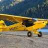 PiperCub49