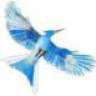 Mockingjay1