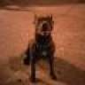 Rommel1