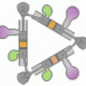 Dougie Nucleus