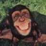 monkeyboy1875