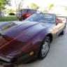 1993Ruby Red