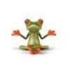 Crazyfroglegs