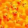 HyperDuckie