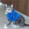 WebKat