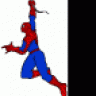 spider2473
