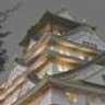 shinzou