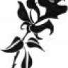 BlakRoseDroid