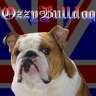ozzybulldog
