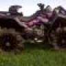 Wild32