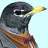 Chirpington