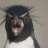 Penguirony01