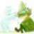 MoominKing