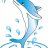 MissDolphin