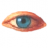 Astal