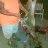 brian197438