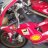 Ducatijim