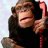 telcobilly