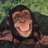 monkeyboy1875