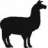 Black Llama