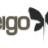 Eigo_Ltd
