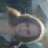 amarie1068
