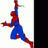 spider2473