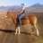 Pony