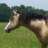 littlefilly